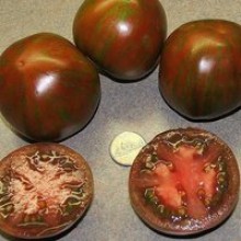 Редкие сорта томатов Черный и Коричневый Кабан